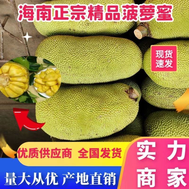 菠萝蜜果园直供香甜可口肉多饱满，提供回头车