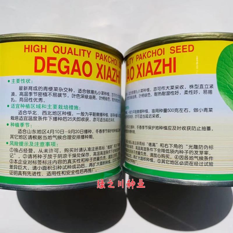 德高夏致青梗菜种子适合捆扎小菜种植叶色深绿油亮耐热耐湿