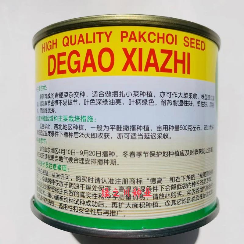 德高夏致青梗菜种子适合捆扎小菜种植叶色深绿油亮耐热耐湿