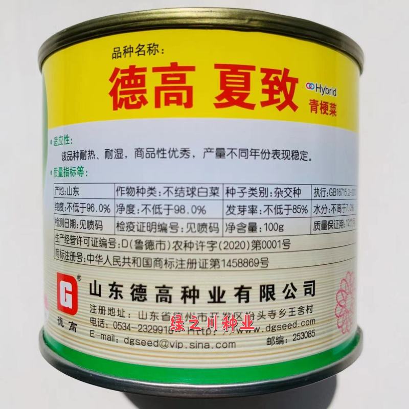 德高夏致青梗菜种子适合捆扎小菜种植叶色深绿油亮耐热耐湿