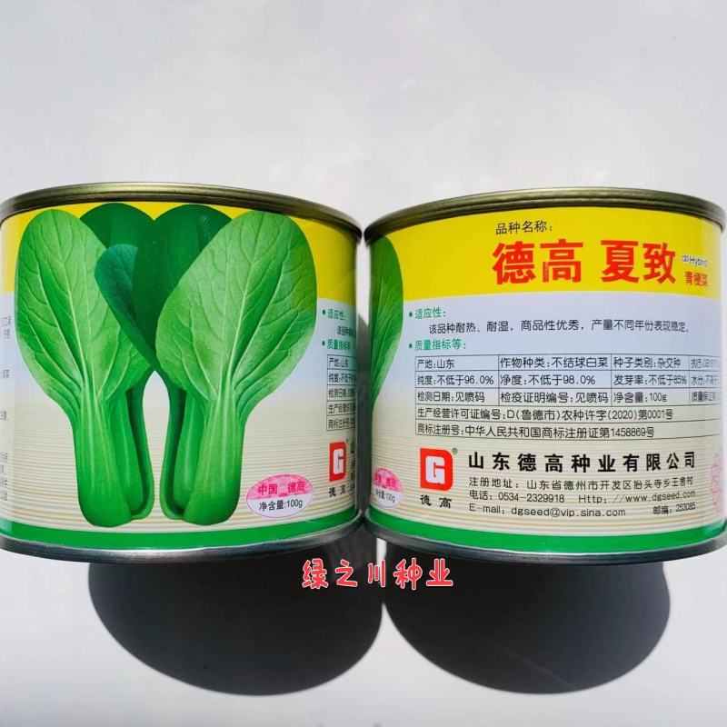 德高夏致青梗菜种子适合捆扎小菜种植叶色深绿油亮耐热耐湿