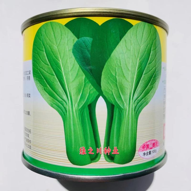 德高夏致青梗菜种子适合捆扎小菜种植叶色深绿油亮耐热耐湿