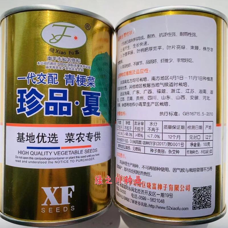 菜农专用晓富珍品夏一代交配青梗菜种子耐热耐雨性强纤维少