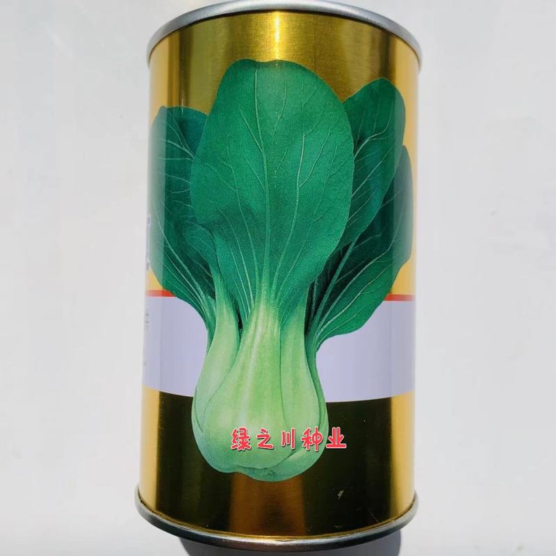 菜农专用晓富珍品夏一代交配青梗菜种子耐热耐雨性强纤维少