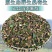 正品广西野生桑寄生中药材药用桑寄生干货泡酒煲汤泡水包邮批