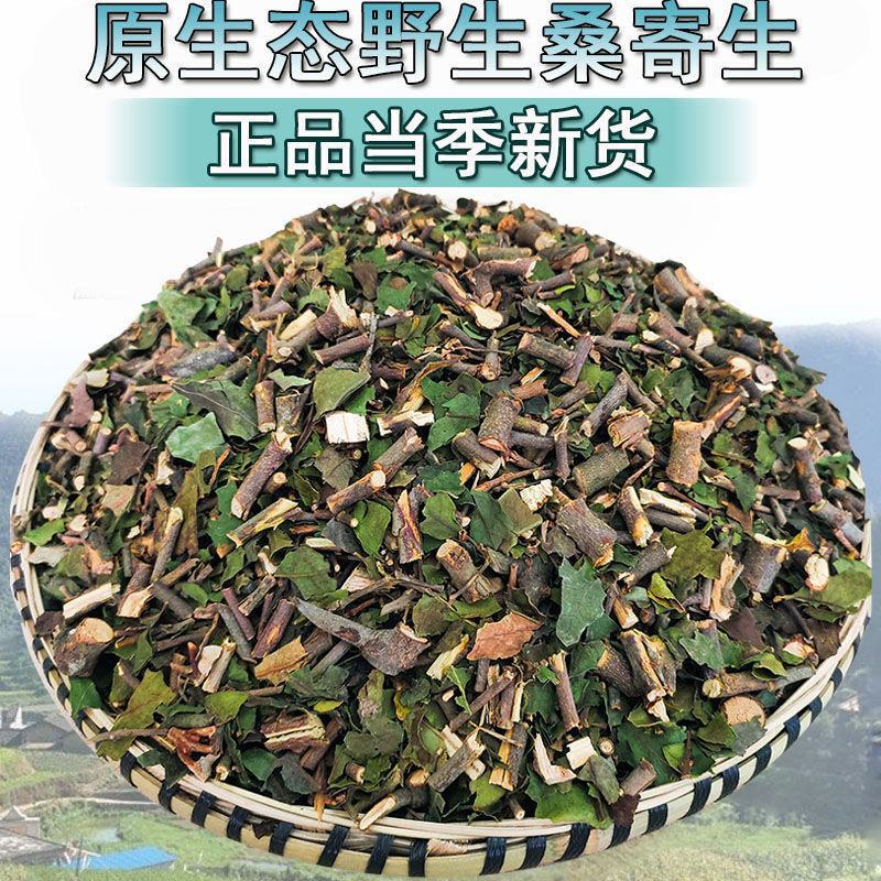 正品广西野生桑寄生中药材药用桑寄生干货泡酒煲汤泡水包邮批