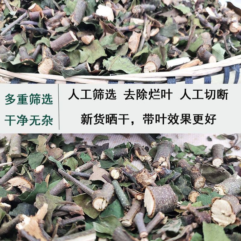 正品广西野生桑寄生中药材药用桑寄生干货泡酒煲汤泡水包邮批