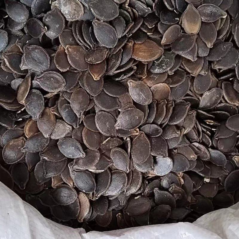 云南黑皮瓜子黑金刚土地瓜子黑皮绿白仁生吃炒货批发零售