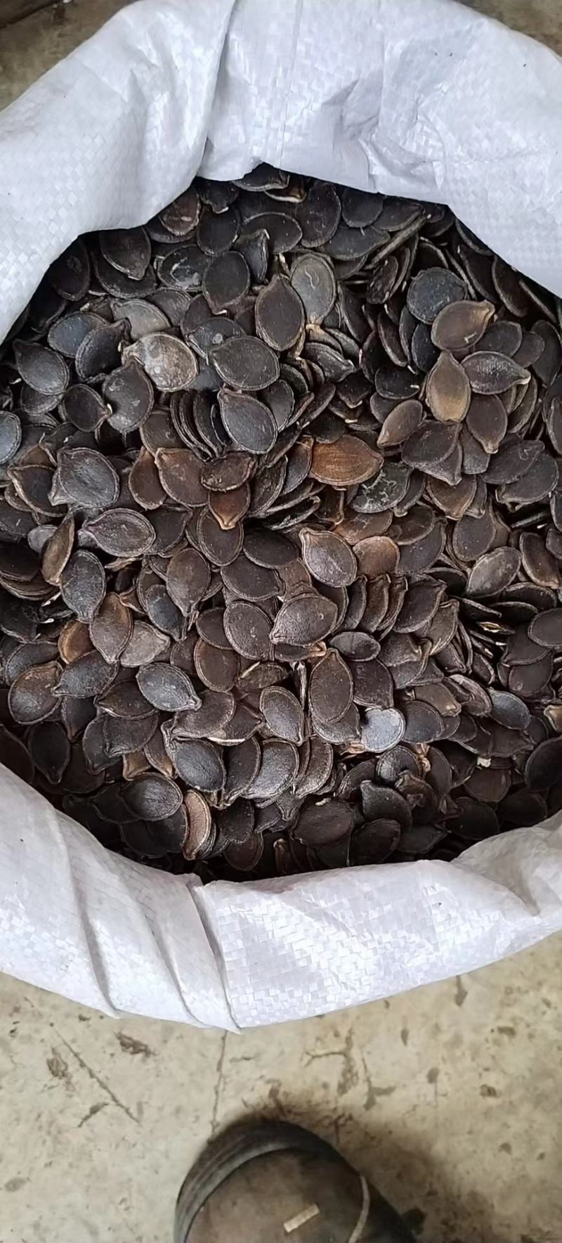 云南黑皮瓜子黑金刚土地瓜子黑皮绿白仁生吃炒货批发零售