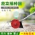 小型多功能蔬菜播种神器手推拉式小粒种子点播器自动精播种菜