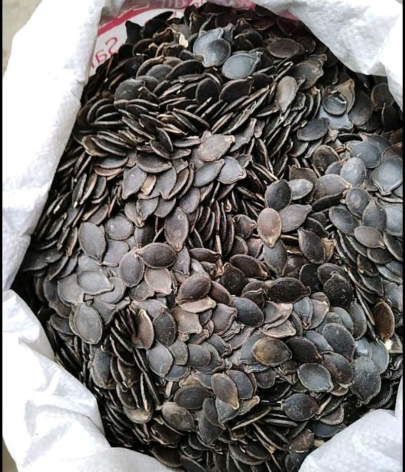 云南黑皮瓜子黑金刚土地瓜子黑皮绿白仁生吃炒货批发零售