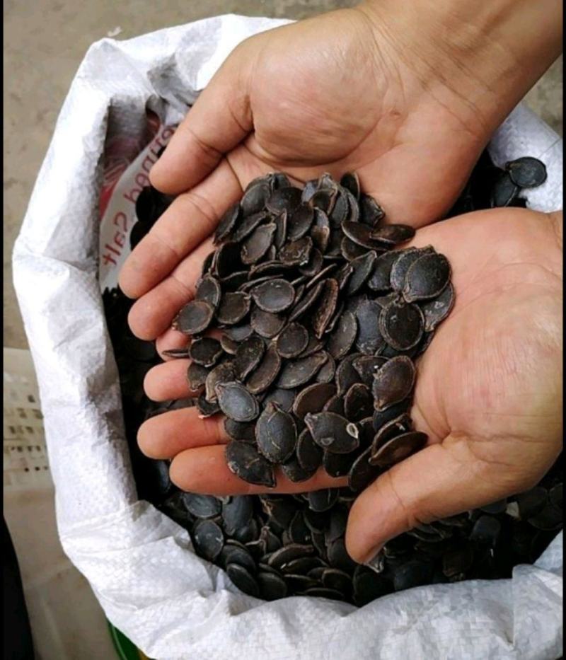 云南黑皮瓜子黑金刚土地瓜子黑皮绿白仁生吃炒货批发零售