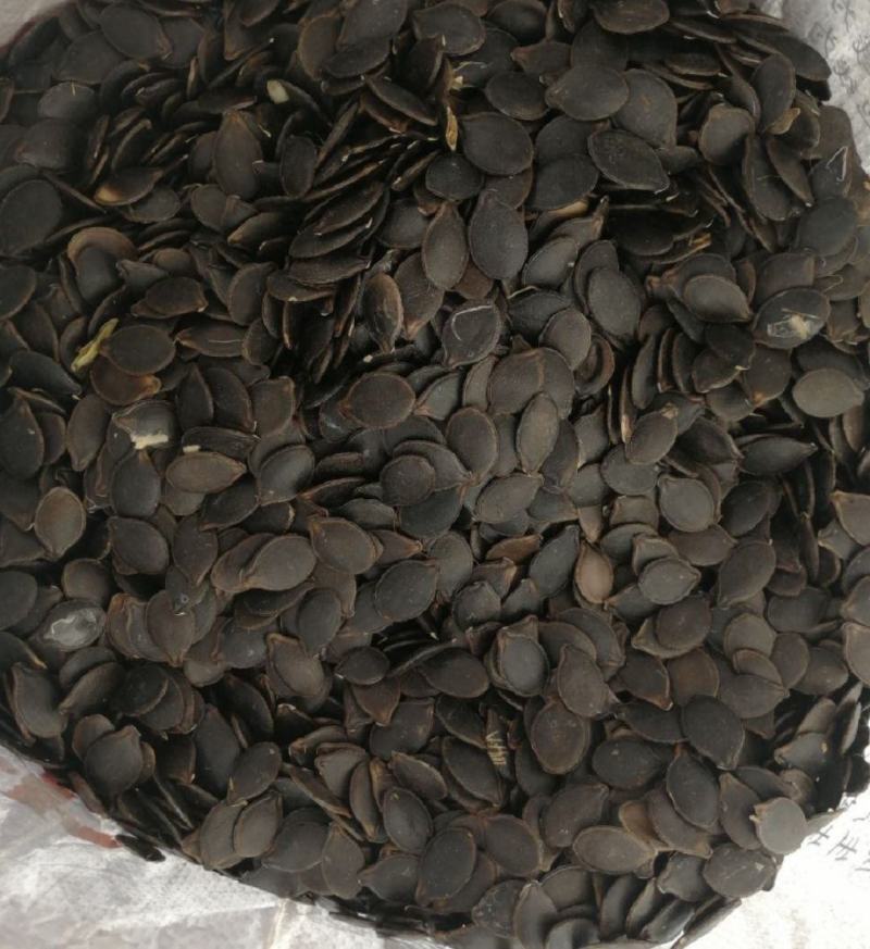 云南黑皮瓜子黑金刚土地瓜子黑皮绿白仁生吃炒货批发零售