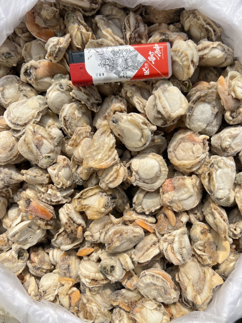 栉孔贝肉，带胃，产地大连，现货！厂家直销！