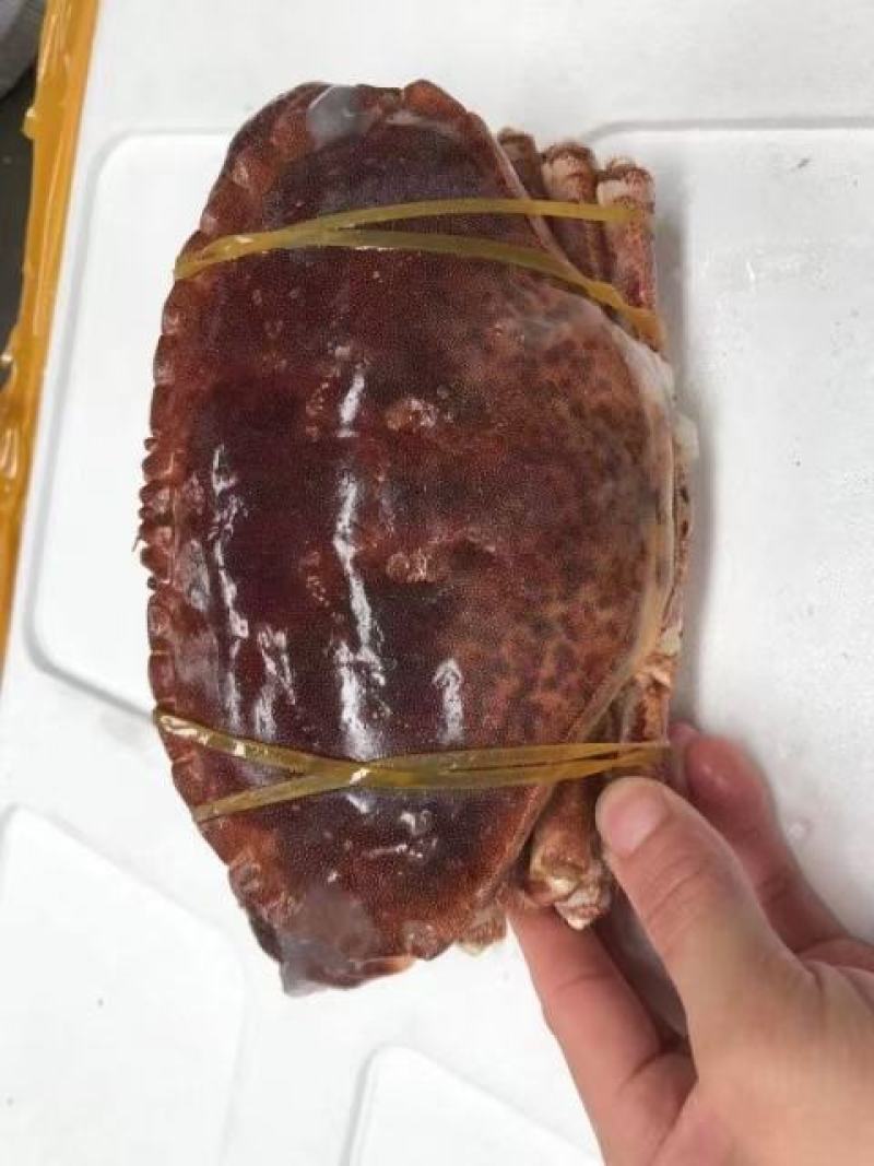 生冻面包蟹
