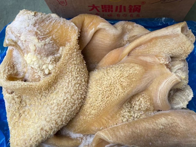 牛肚牛大肚纯干熟牛肚实拍图片厂家批发