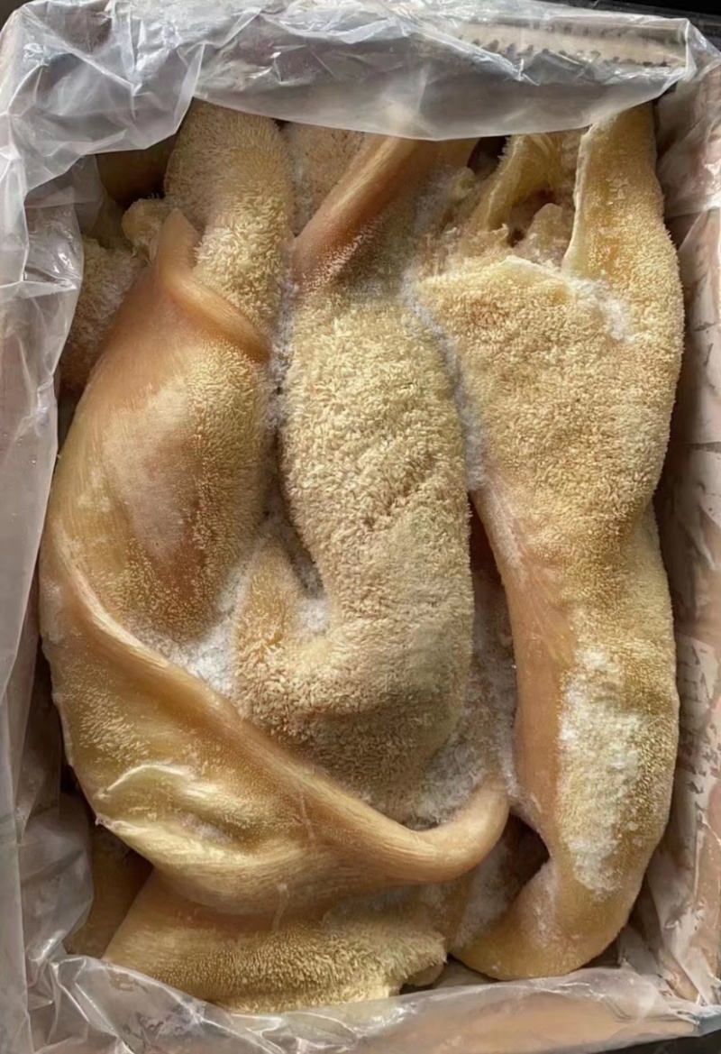 牛肚牛大肚纯干熟牛肚实拍图片厂家批发