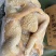 牛肚牛大肚纯干熟牛肚实拍图片厂家批发