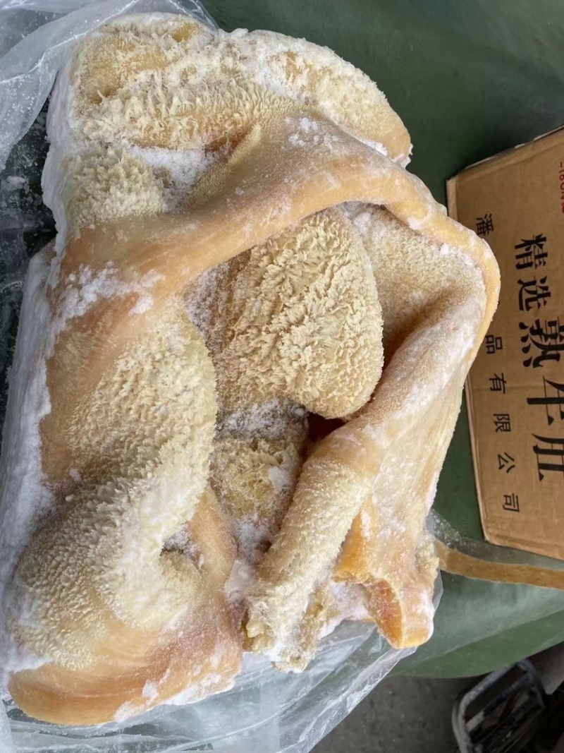 牛肚牛大肚纯干熟牛肚实拍图片厂家批发