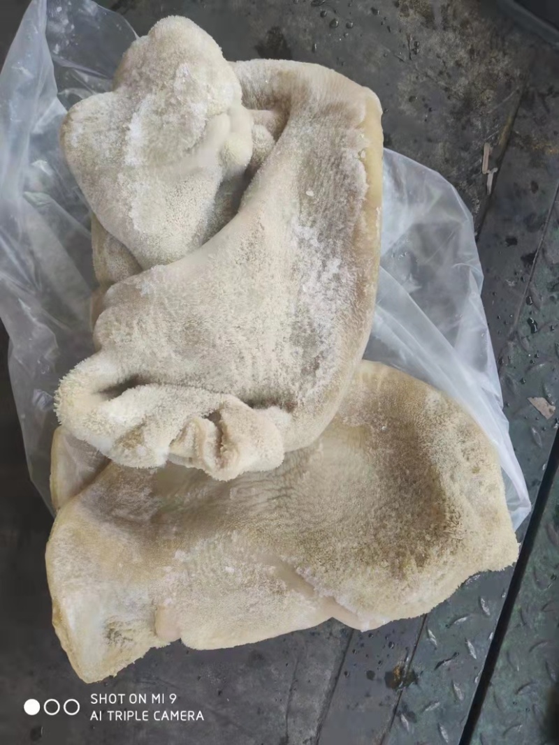 牛肚牛大肚纯干熟牛肚实拍图片厂家批发