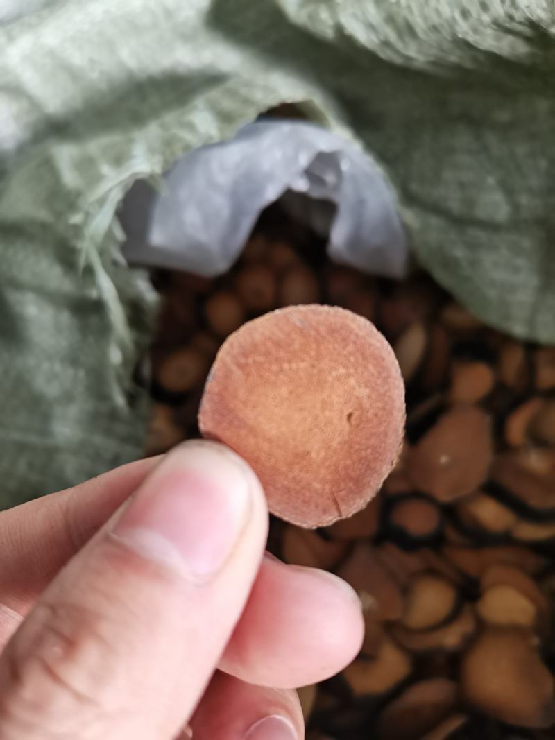 精品橘红切片大果片小果片，压果片，量大从优，欢迎致电