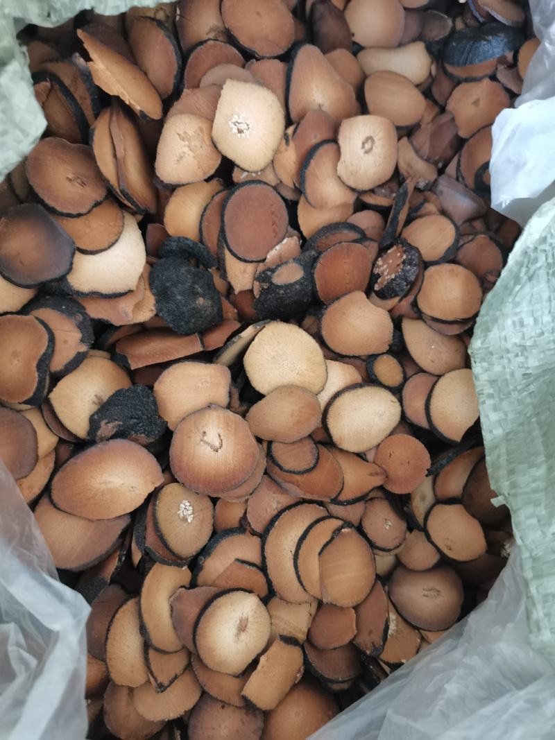 精品橘红切片大果片小果片，压果片，量大从优，欢迎致电