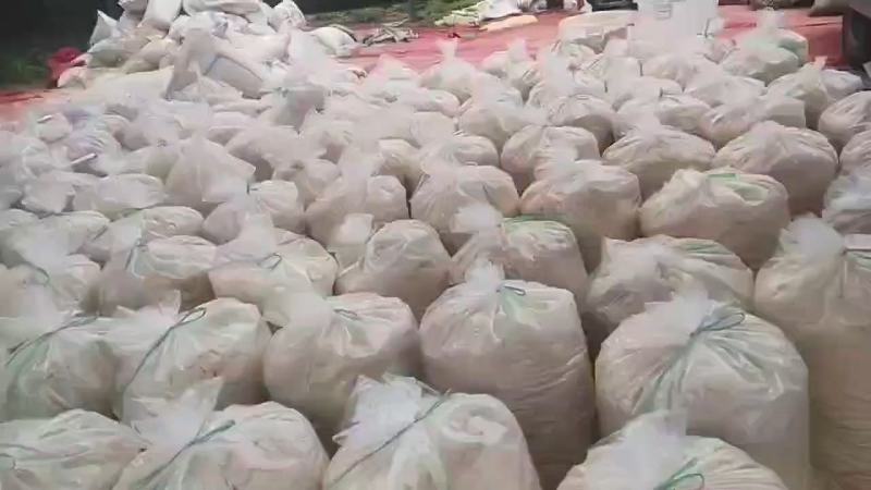 四川豆渣发酵豆渣饲料喂猪喂羊喂牛