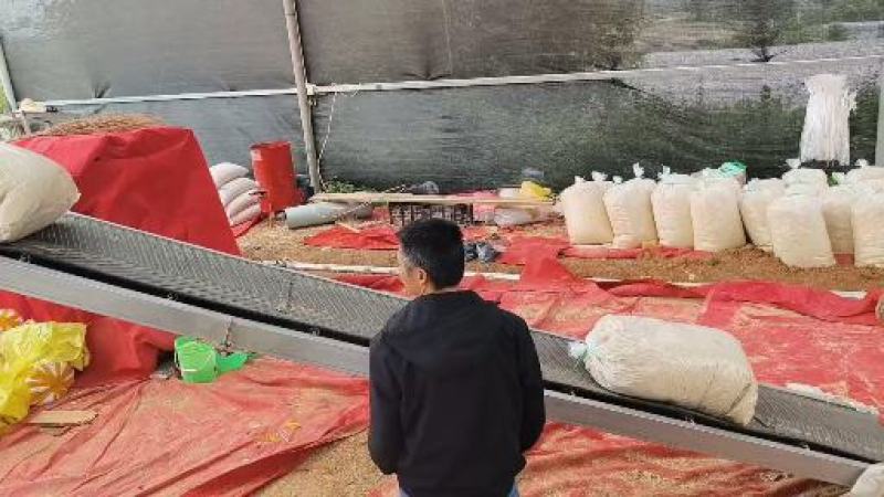 四川豆渣发酵豆渣饲料喂猪喂羊喂牛