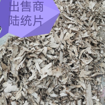商陆野生