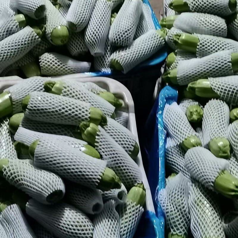 西葫芦