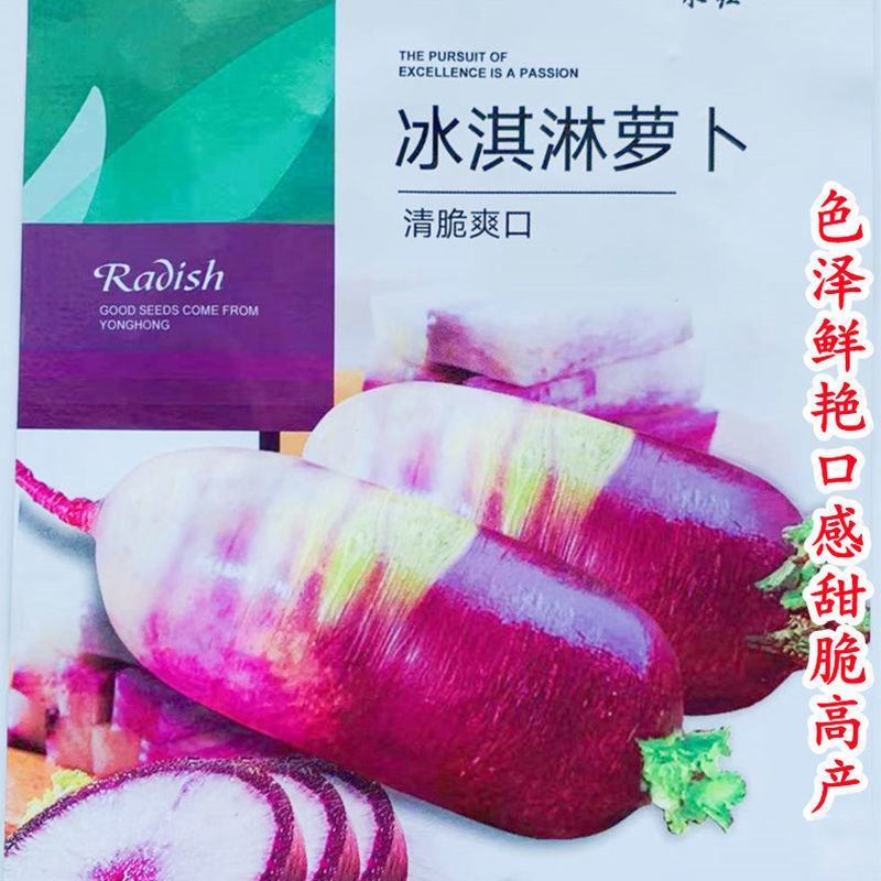 永红冰淇淋萝卜种子紫皮红芯穿心红水果萝卜籽凤梨萝卜种子