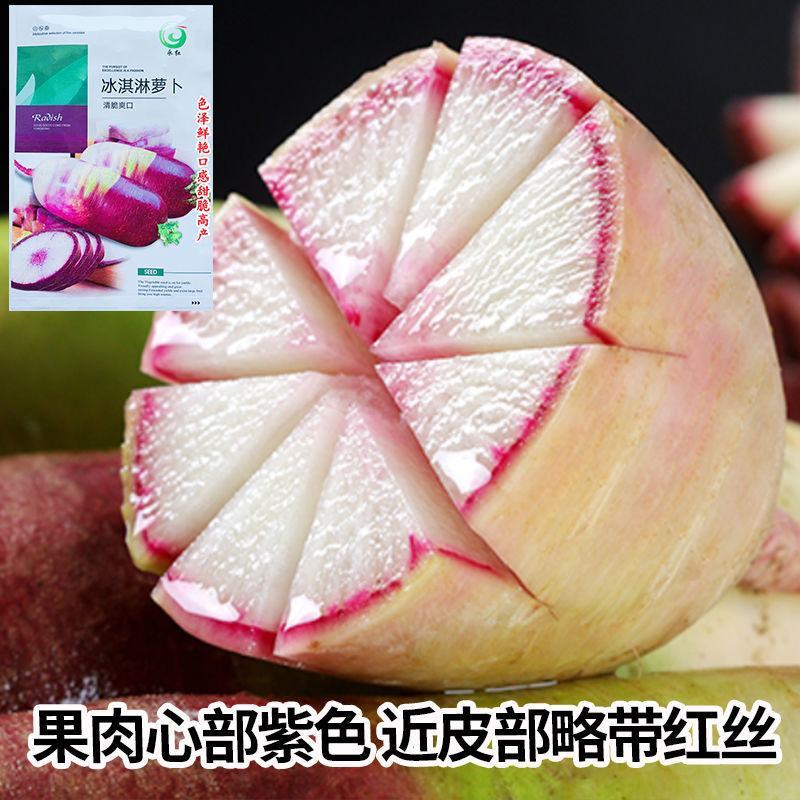 永红冰淇淋萝卜种子紫皮红芯穿心红水果萝卜籽凤梨萝卜种子