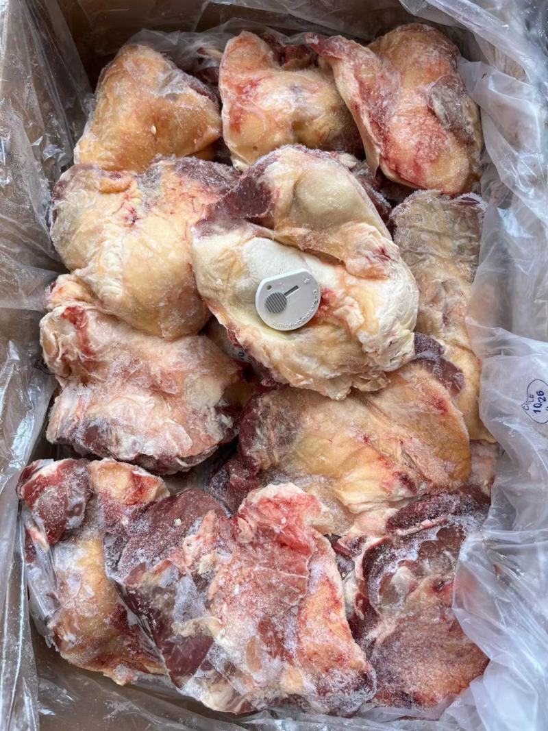 内蒙古锡林郭勒草原牛窝骨，肉大筋多，一个六七两，口感好