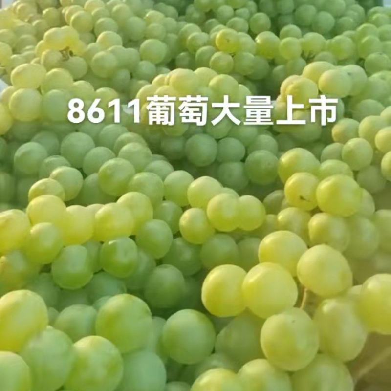 罐头加工果大量上市需要的联系