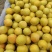 海棠果，鸡心果，李子，香瓜，内蒙特产