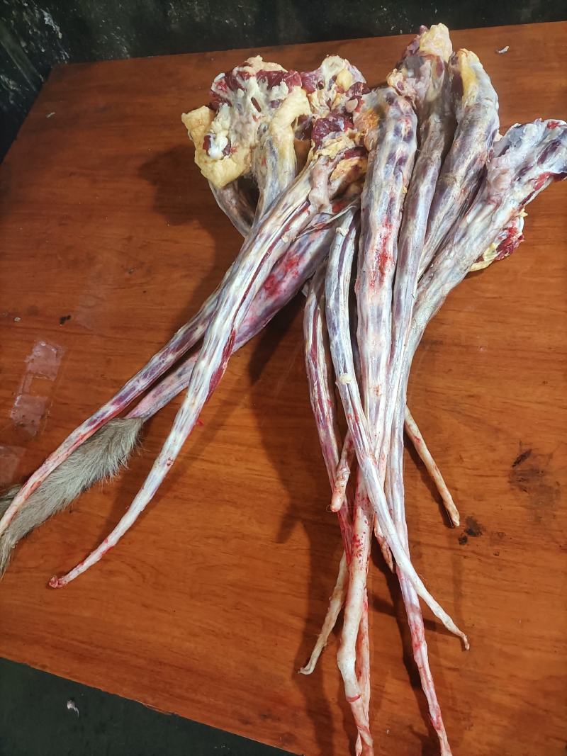 内蒙古锡林郭勒草地去皮牛尾，一根二三斤，独立包装。