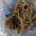 续断续断干货续断鲜货野生中药材一手货源产地直供