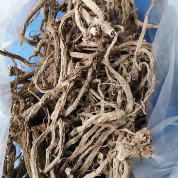 续断续断干货续断鲜货野生中药材一手货源产地直供
