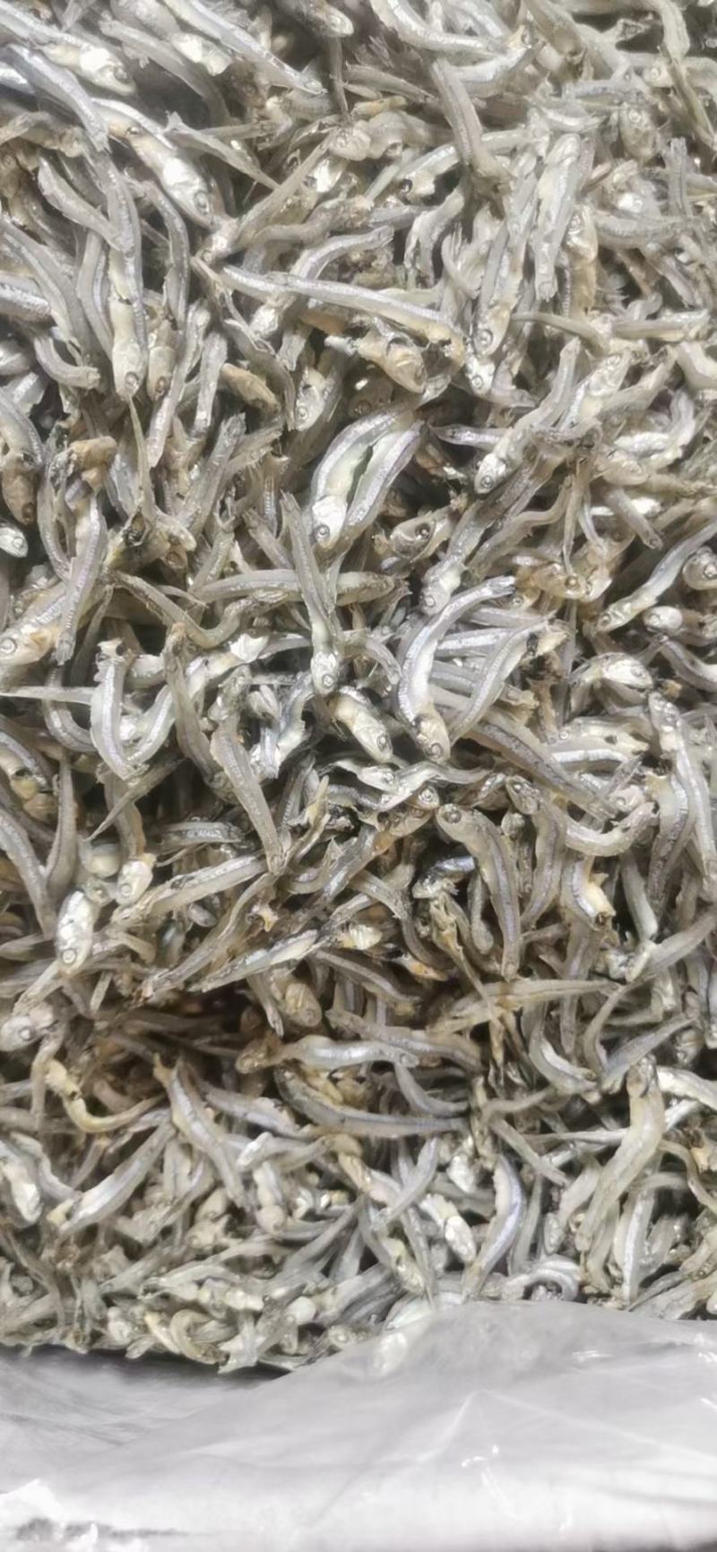 青条小公鱼干，厂家直发，大量有货