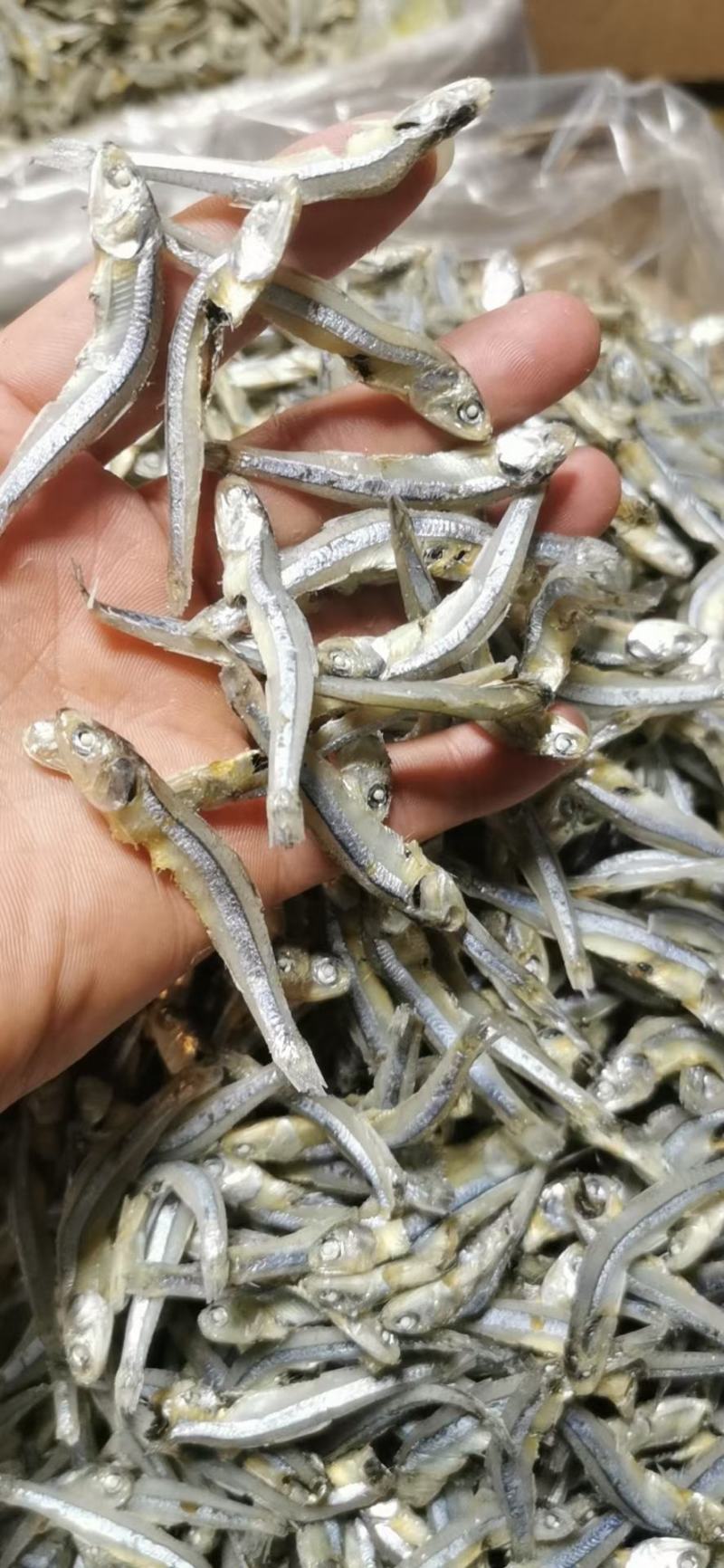 青条小公鱼干，厂家直发，大量有货