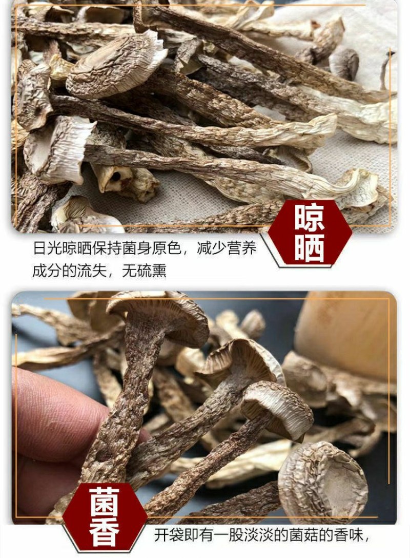 品质新货鹿茸菇无薰硫鹿茸菌福建特产香菇干货煲汤干货包邮！