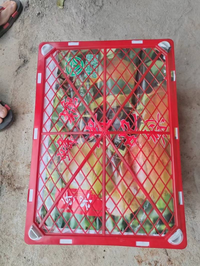 丁香梨，蜂糖梨，香蜜梨。
