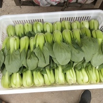 各种蔬菜，还有甘蓝