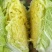 各种蔬菜，还有甘蓝