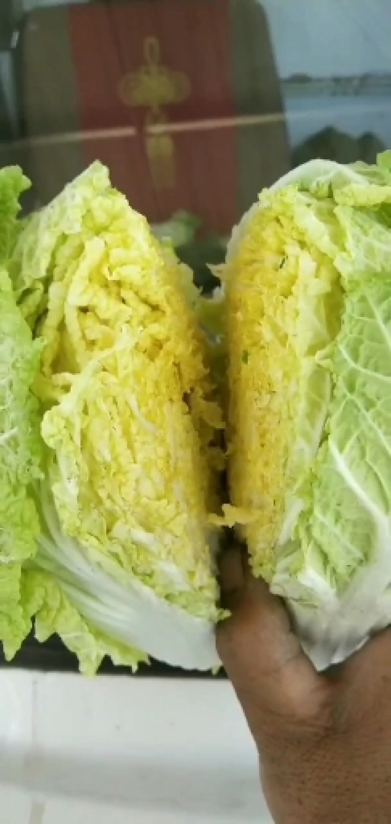 各种蔬菜，还有甘蓝