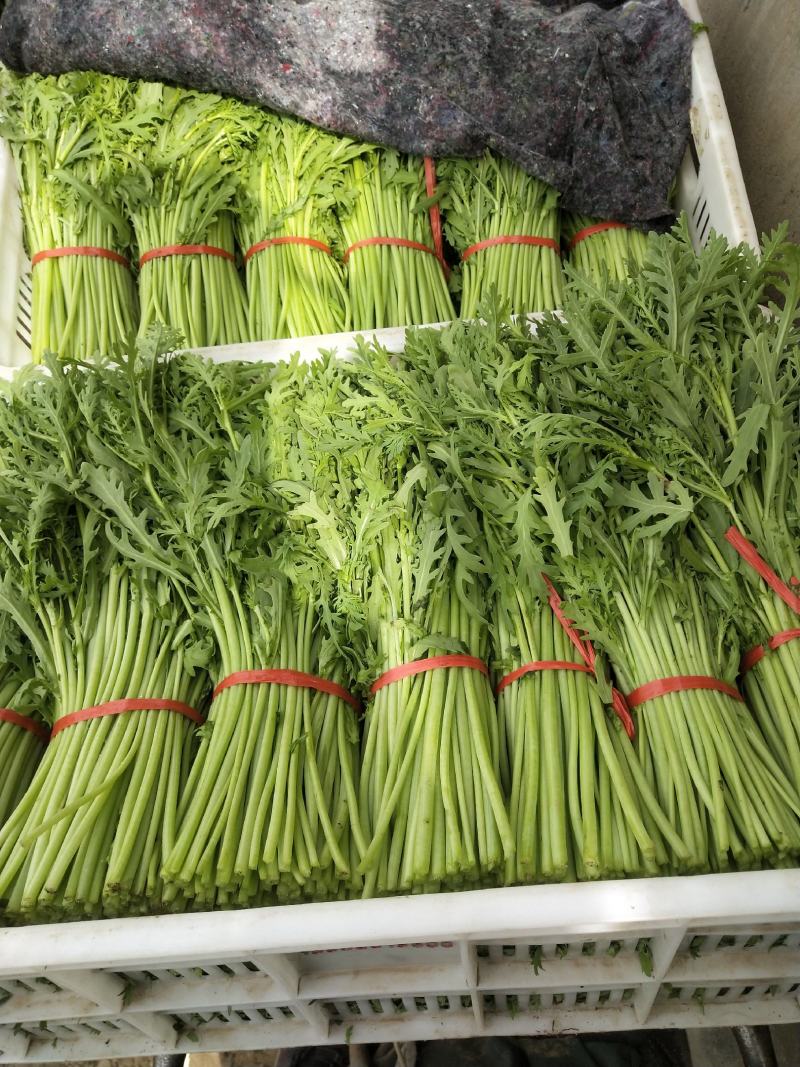 各种蔬菜，还有甘蓝