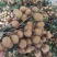 茂名电白龙眼已上市产地直供