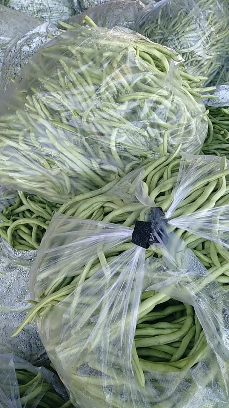 无丝豆，也叫架豆王
