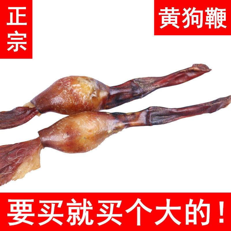 狗鞭黄狗鞭狗鞭干狗肾十全男士泡酒料佳品鞭另有狗鞭