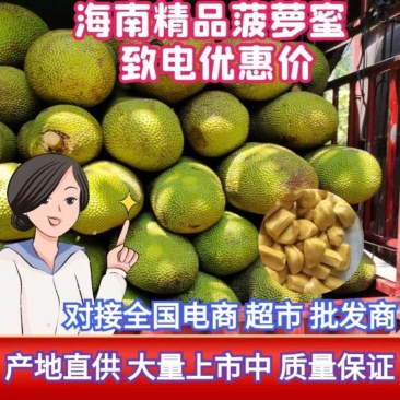 菠萝蜜马一泰八香甜可口产地直供价格便宜保质保量
